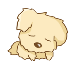 Golden Retriever's Sticker sticker #4471230