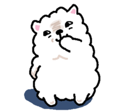 Fuwa-Fuwa Pomeranian sticker #4472814