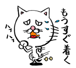 Cat big face! Part2 sticker #4472976