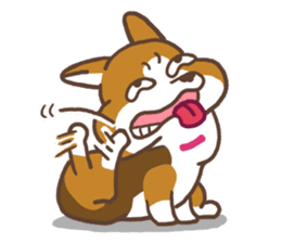 Corgi Run sticker #4475155
