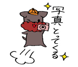 Yorkie Marron that floppy ears 3 sticker #4476386