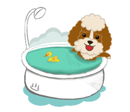 Poodle Maru sticker #4476457