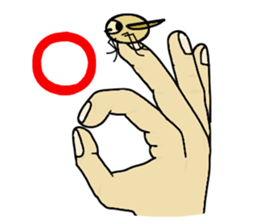 Fluffy full course sticker #4479492