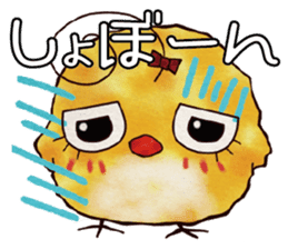 Picture Diary of chick sticker #4479971