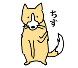 a dog that is raised with affection sticker #4481192