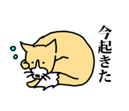 a dog that is raised with affection sticker #4481220