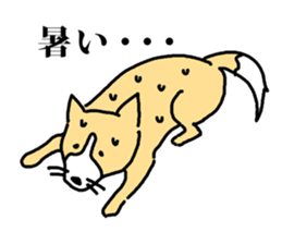 a dog that is raised with affection sticker #4481225