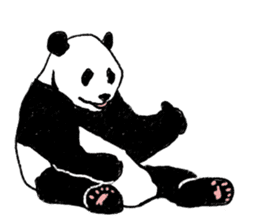 panda silent version sticker #4481993