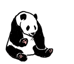panda silent version sticker #4481994