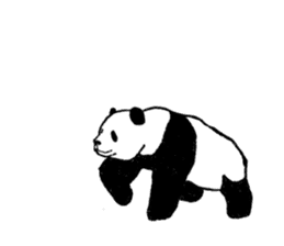 panda silent version sticker #4482011
