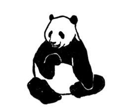 panda silent version sticker #4482021