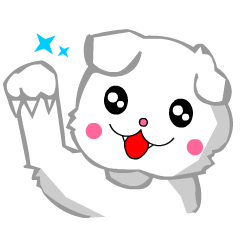 Scottish Fold White Cat (Digging)