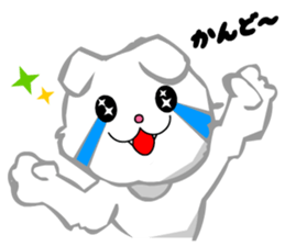 Scottish Fold White Cat (Digging) sticker #4484295