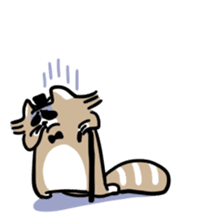 Paul, a gentle racoon sticker #4485844