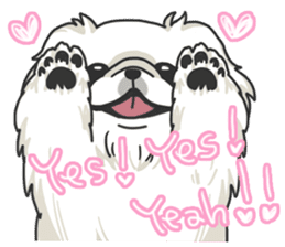 Pekingese. sticker #4492286