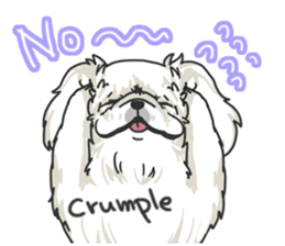 Pekingese. sticker #4492288