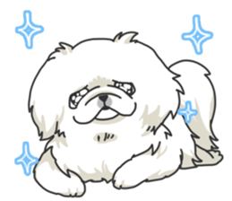 Pekingese. sticker #4492293