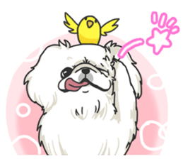 Pekingese. sticker #4492294