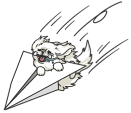 Pekingese. sticker #4492296