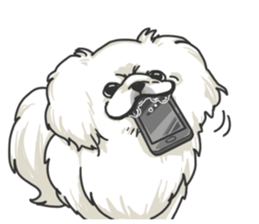 Pekingese. sticker #4492300