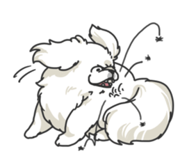 Pekingese. sticker #4492301