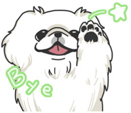 Pekingese. sticker #4492303