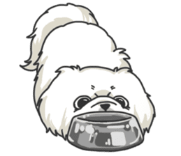 Pekingese. sticker #4492308