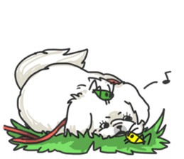 Pekingese. sticker #4492309