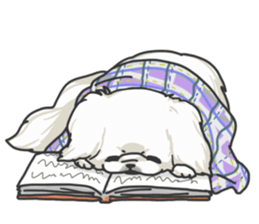 Pekingese. sticker #4492317
