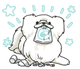 Pekingese. sticker #4492318