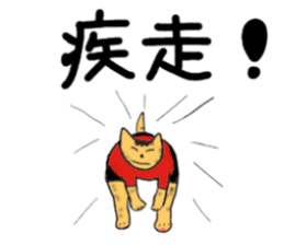 "Icchann"The cat(ver.marathon) sticker #4492730