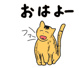 "Icchann"The cat(ver.marathon) sticker #4492743