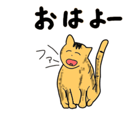 "Icchann"The cat(ver.marathon) sticker #4492743