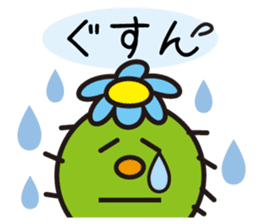 The lazy cactus " Sabotten " sticker #4498937