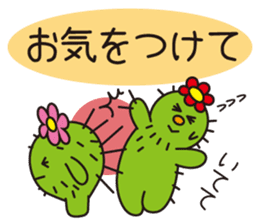 The lazy cactus " Sabotten " sticker #4498943