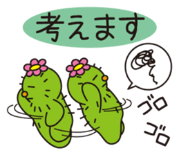 The lazy cactus " Sabotten " sticker #4498948