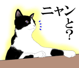 Lovely Kitten sticker #4501769