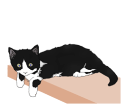 Lovely Kitten sticker #4501770