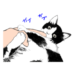 Lovely Kitten sticker #4501773