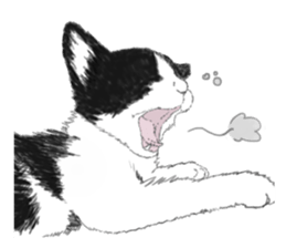 Lovely Kitten sticker #4501774