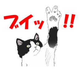 Lovely Kitten sticker #4501776