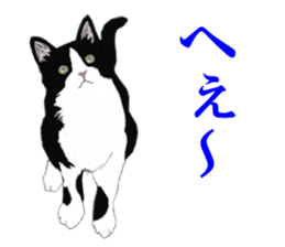 Lovely Kitten sticker #4501777