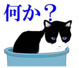 Lovely Kitten sticker #4501783