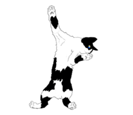 Lovely Kitten sticker #4501784