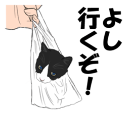 Lovely Kitten sticker #4501788