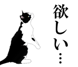 Lovely Kitten sticker #4501789