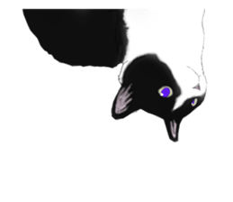 Lovely Kitten sticker #4501791