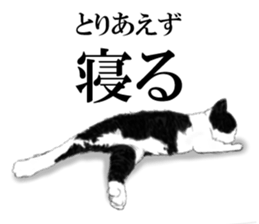 Lovely Kitten sticker #4501792