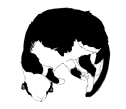 Lovely Kitten sticker #4501793