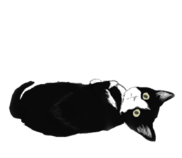 Lovely Kitten sticker #4501797